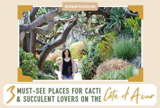3 Must-See Places for Cacti & Succulent Lovers on the Côte d’Azur