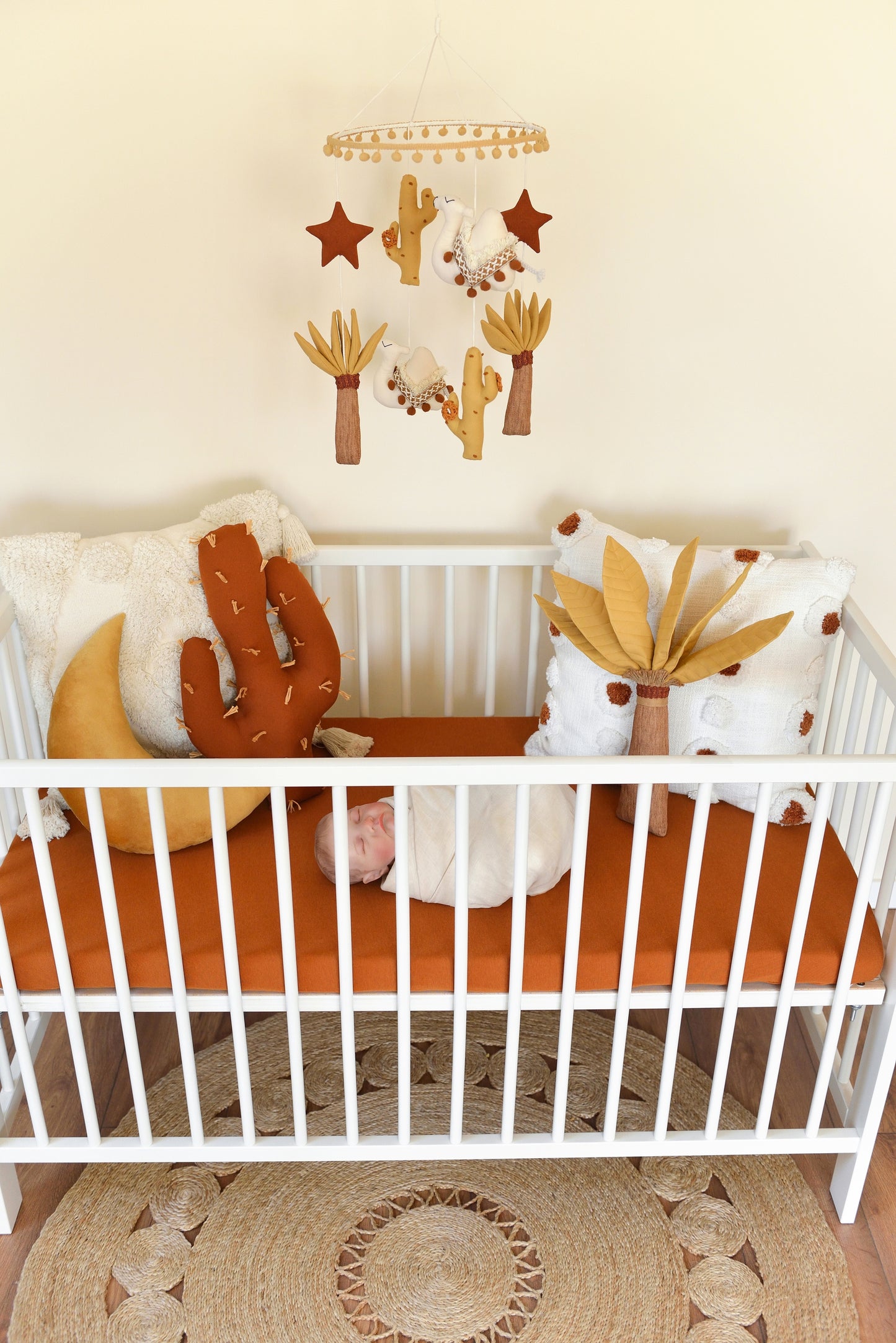 Moon Velvet Decor Pillow