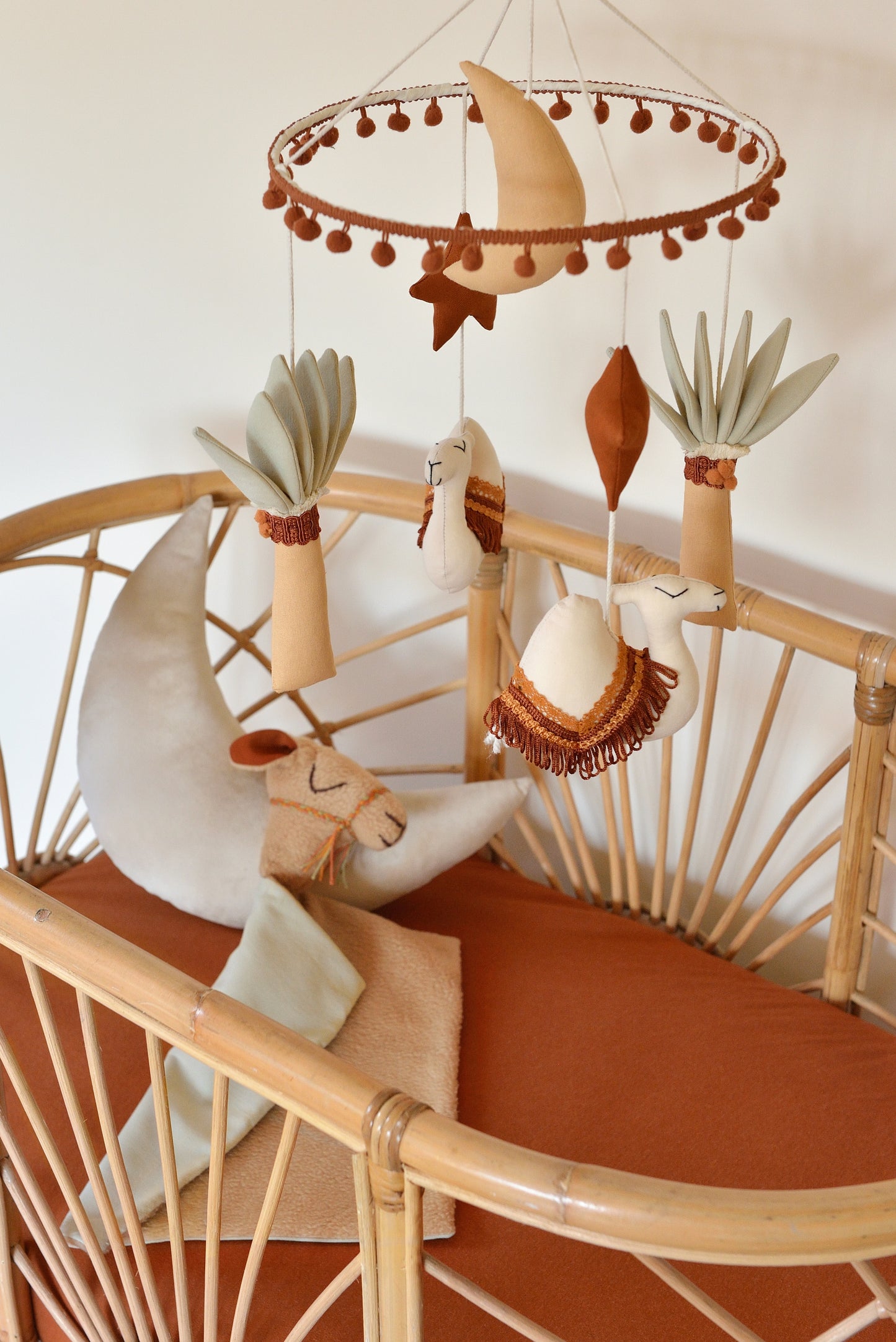 Moon Velvet Decor Pillow