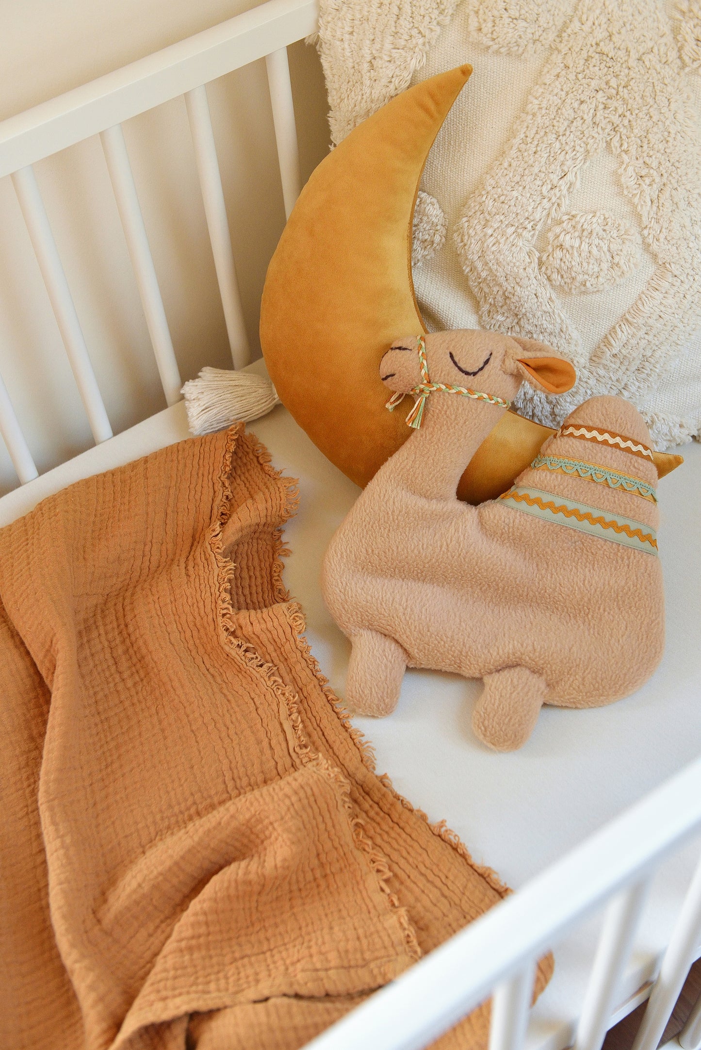 Moon Velvet Decor Pillow