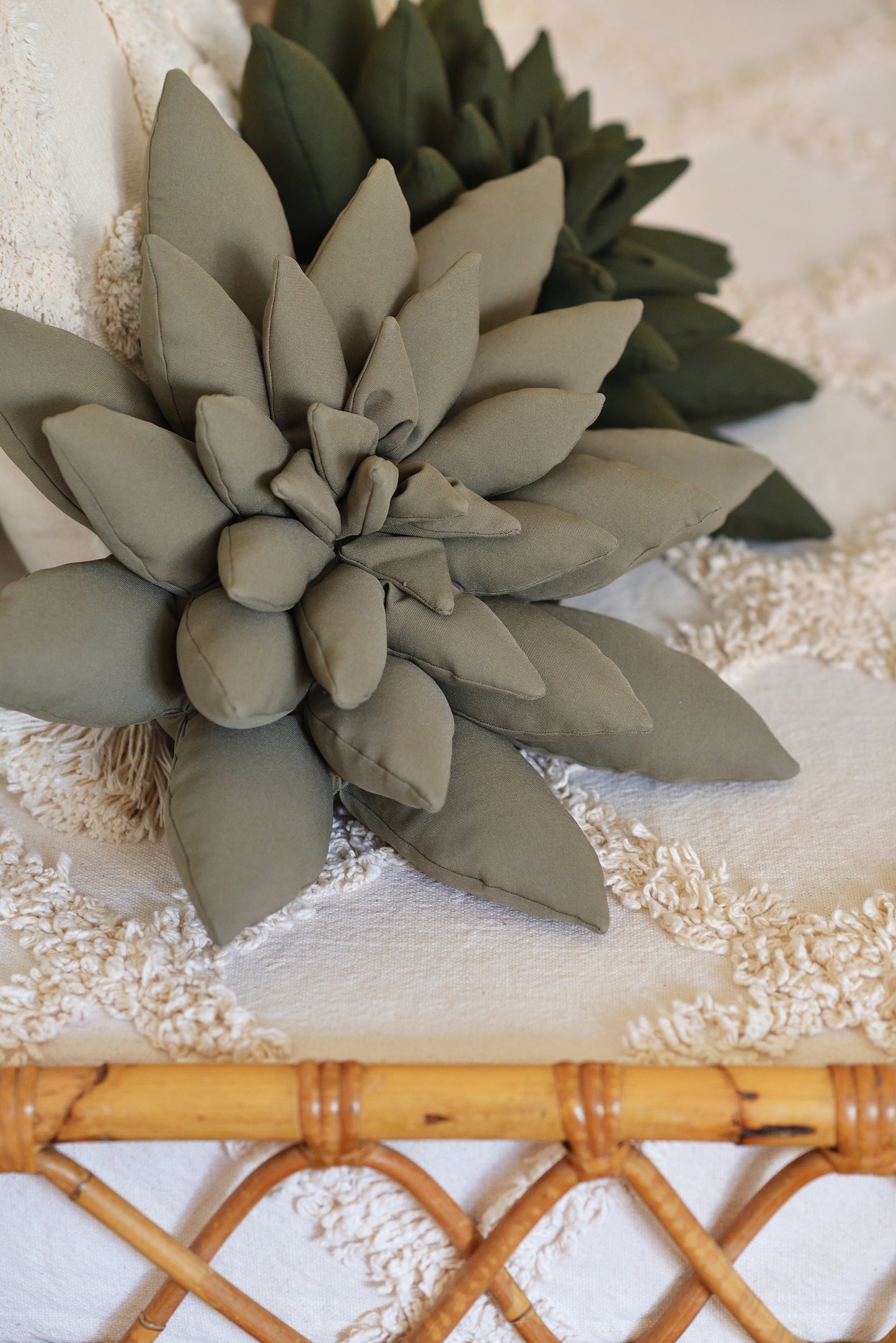 Large Succulent Boho Throw Pillow