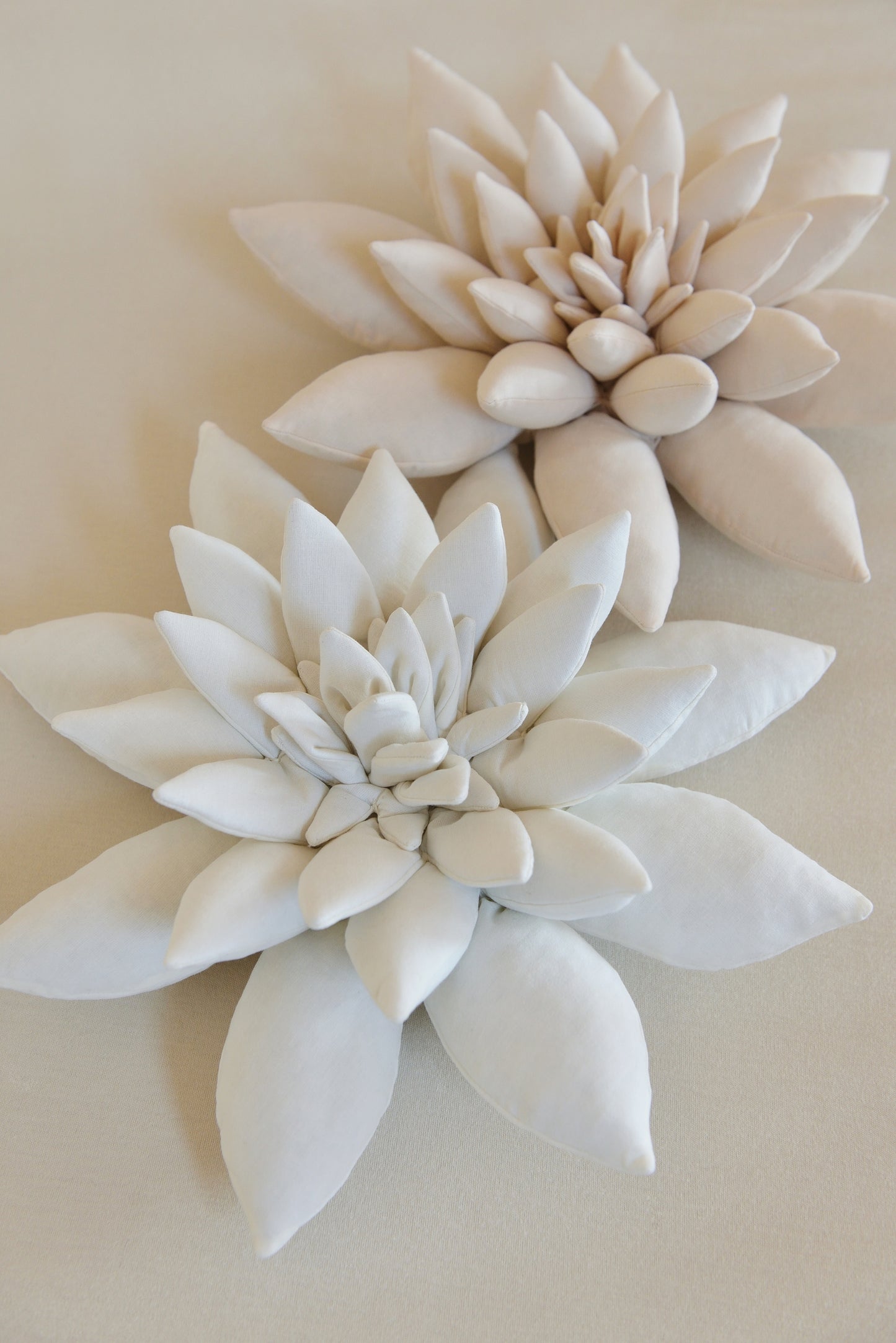 Neutral Succulent Pillow