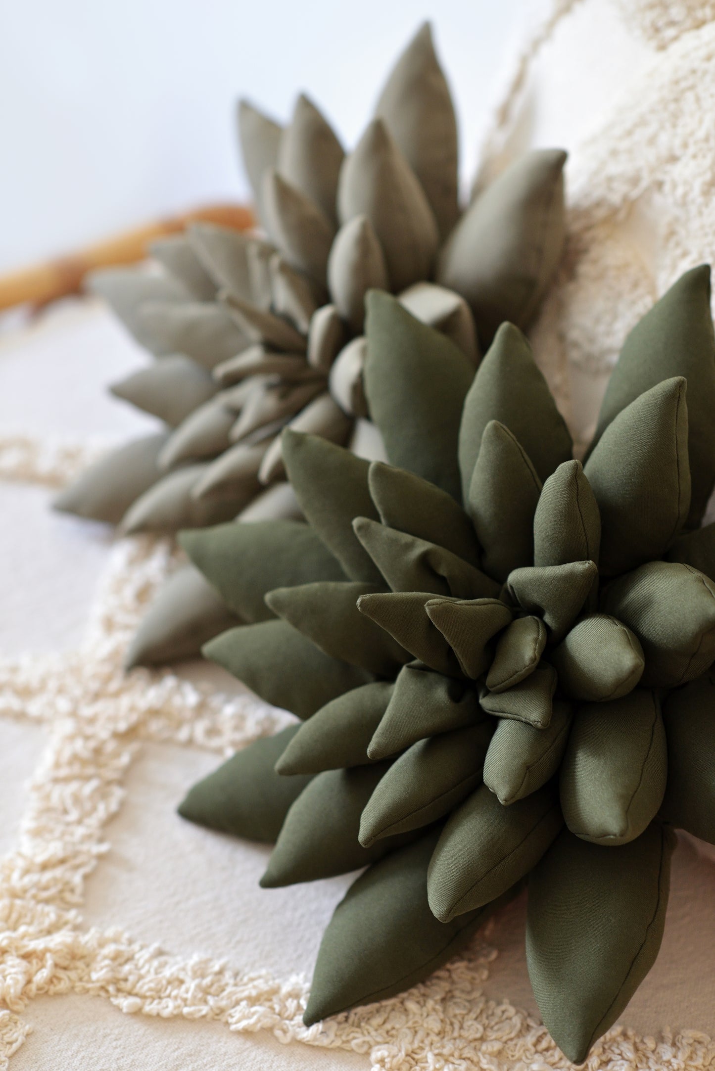 Large Succulent Boho Throw Pillow