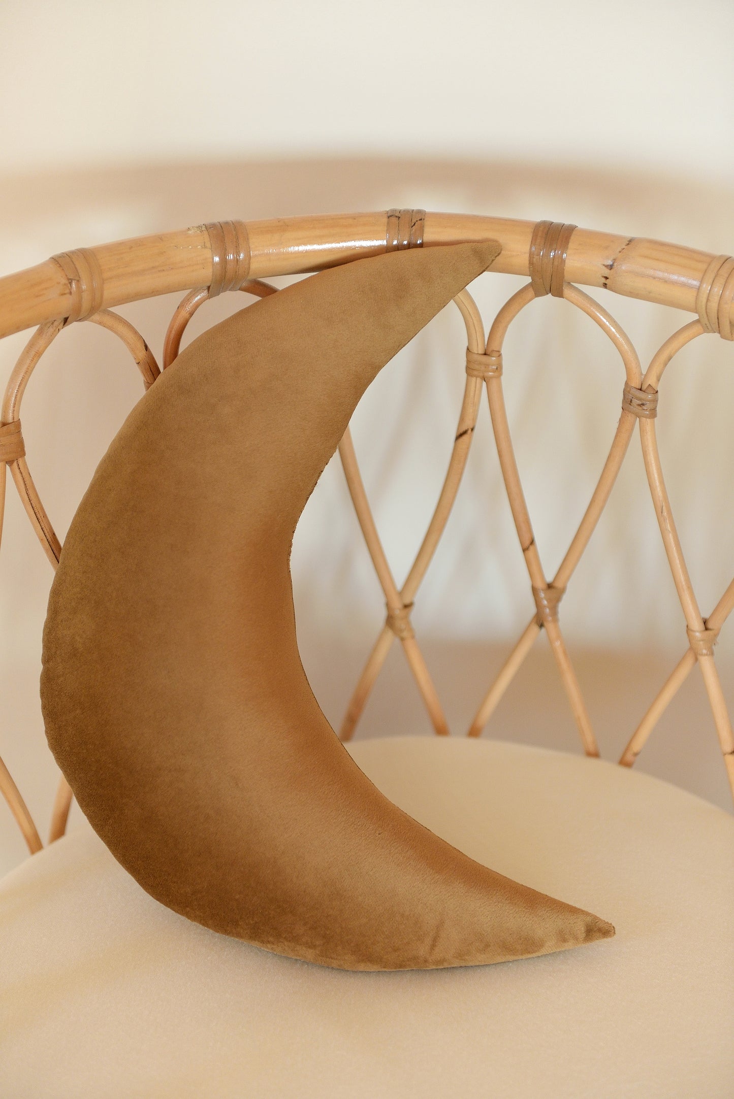 Moon Velvet Decor Pillow