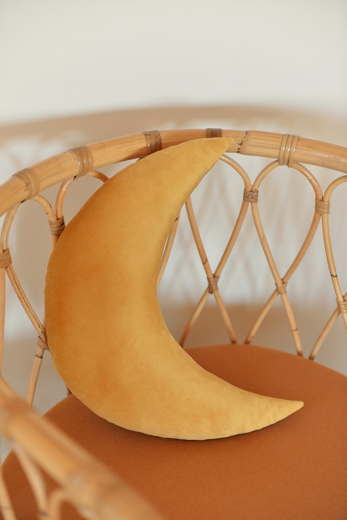 Moon Velvet Decor Pillow