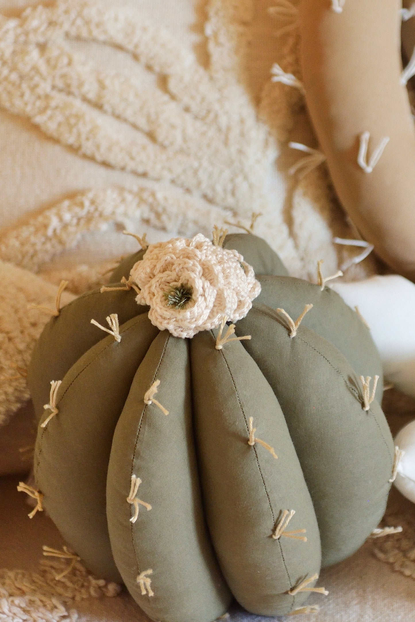 Barrel Cactus Pillow in Bloom