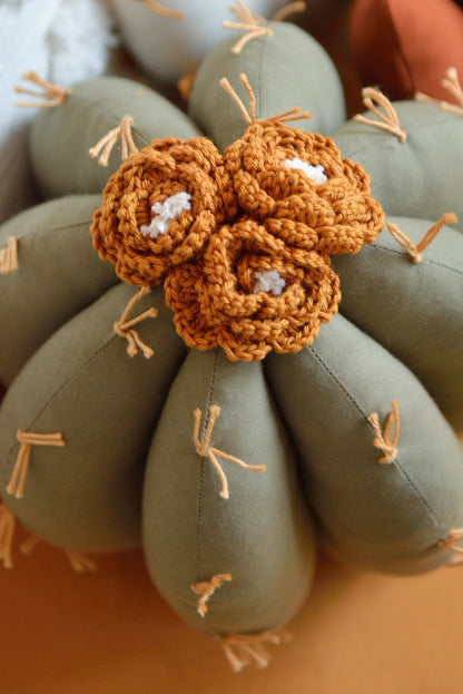 Barrel Cactus Pillow in Bloom