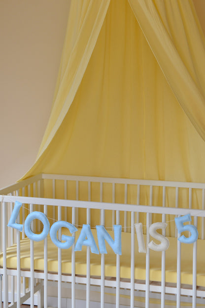 Pastel Blue Personalized Felt Name Banner With Scalloped Letters - Handmade Nursery, Playroom & Party Decor