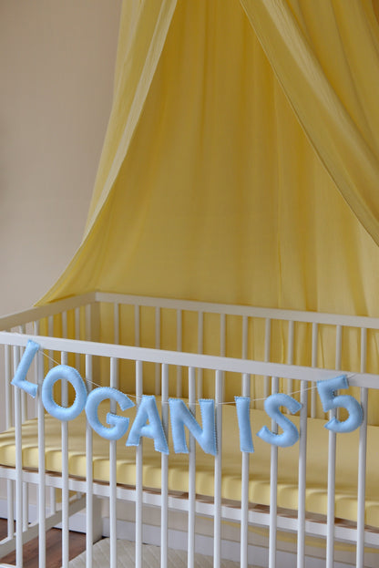 Pastel Blue Personalized Felt Name Banner With Scalloped Letters - Handmade Nursery, Playroom & Party Decor