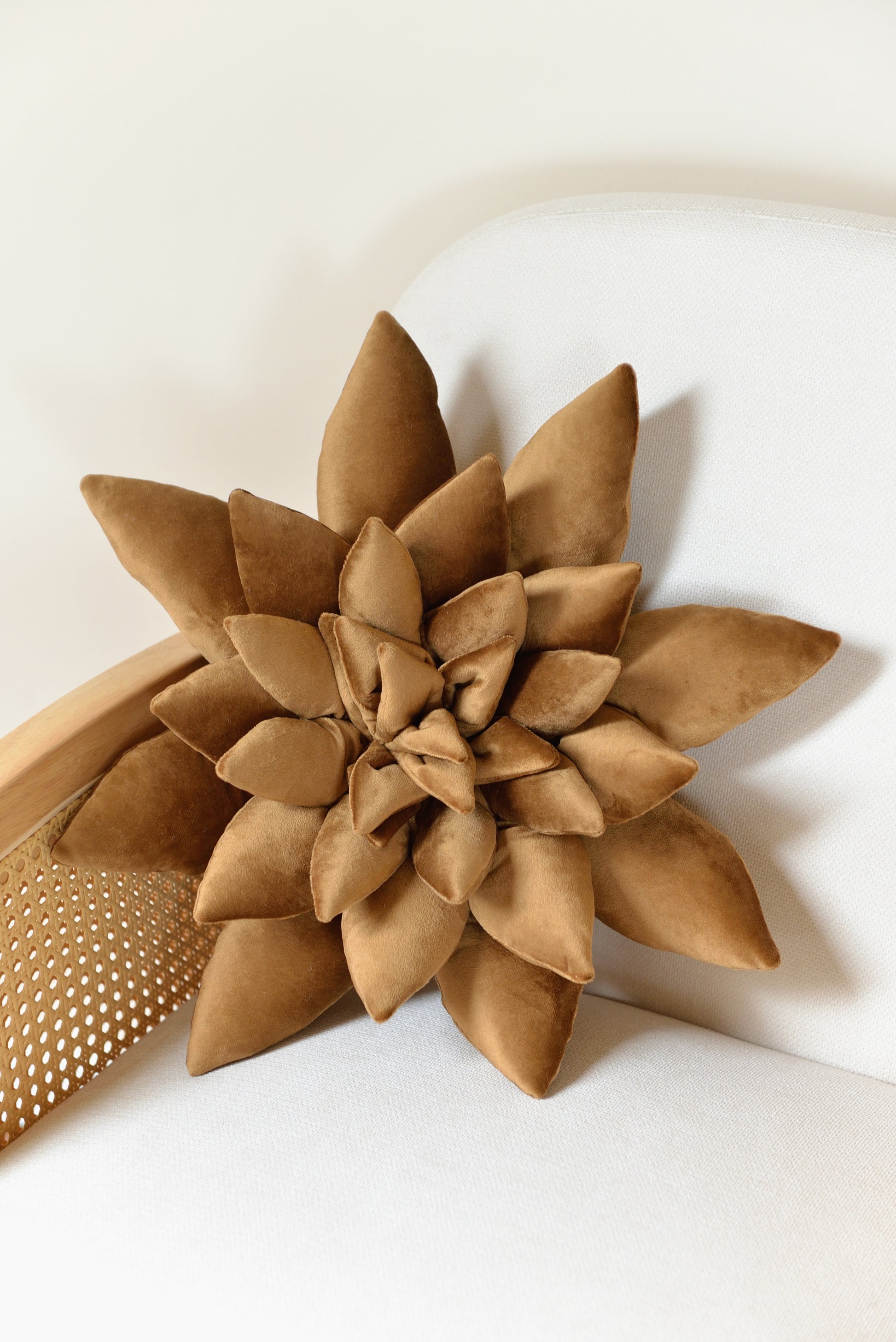 Large succulent shaped velvet decor pillow in coffee brown colour placed on an ivory rattan armchair.