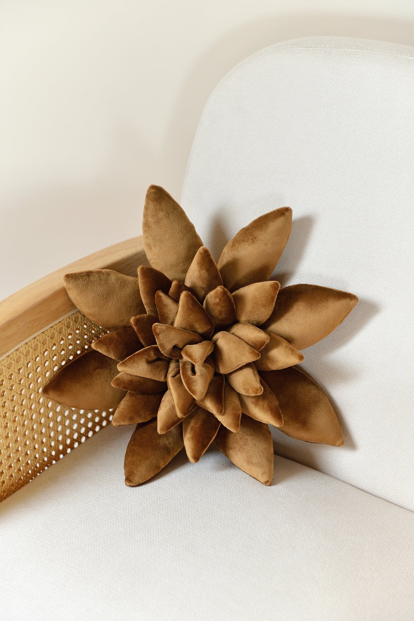 Standard size succulent shaped velvet decor pillow in coffee brown colour placed on an ivory rattan armchair.