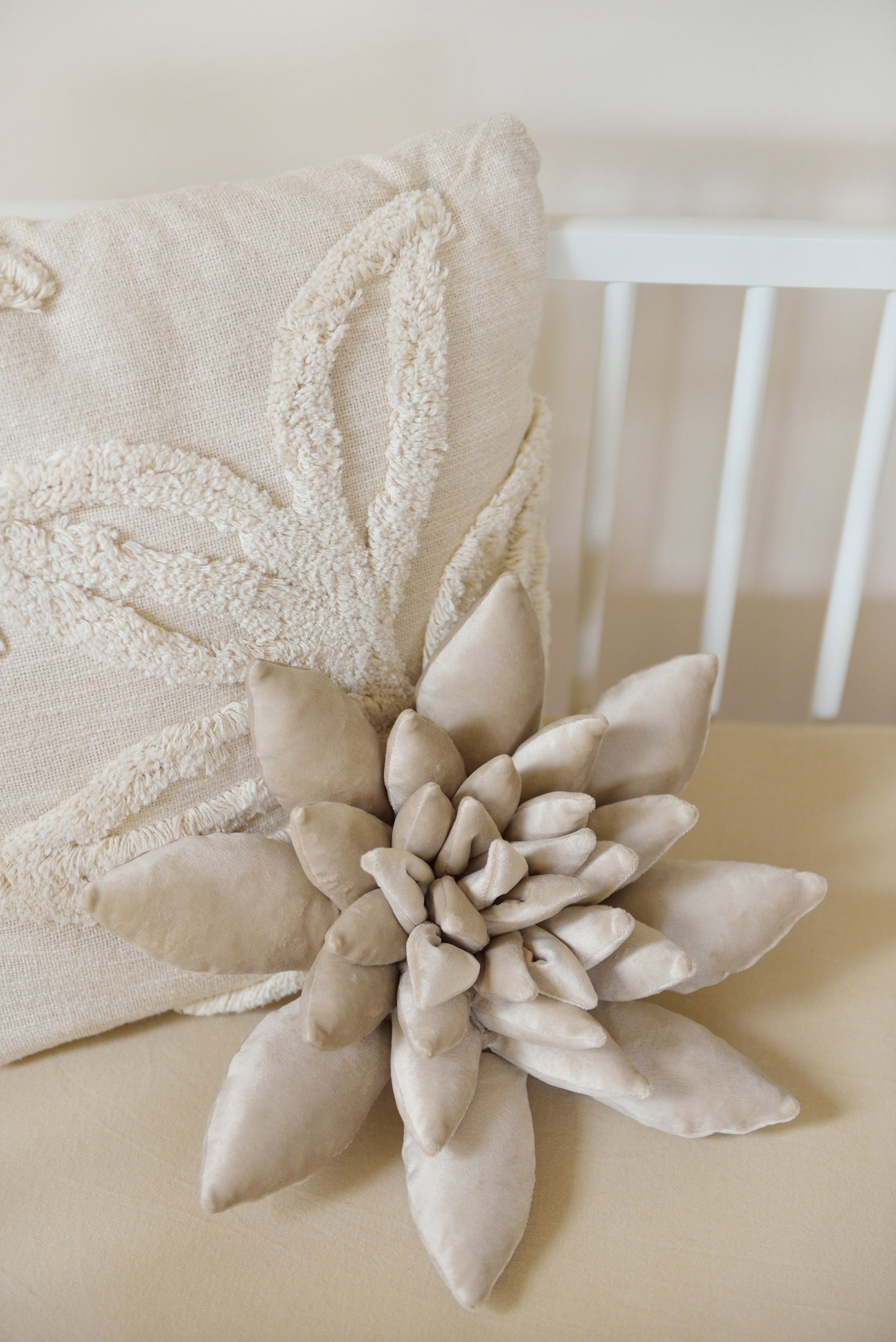 pillow succulent Velvet Succulent Pillow in Pearlwhite, Sand or Coffee